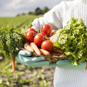 Resiliência alimentar global expõe dilemas do Brasil