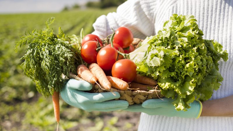 Resiliência alimentar global expõe dilemas do Brasil