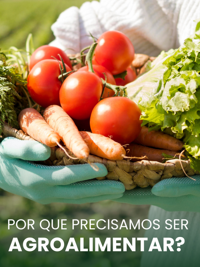 Web Store Agroalimentar